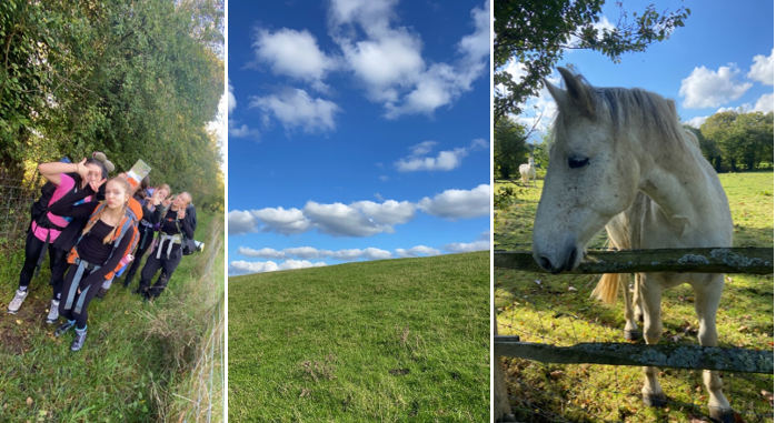 A collage of a person riding a horse

Description automatically generated