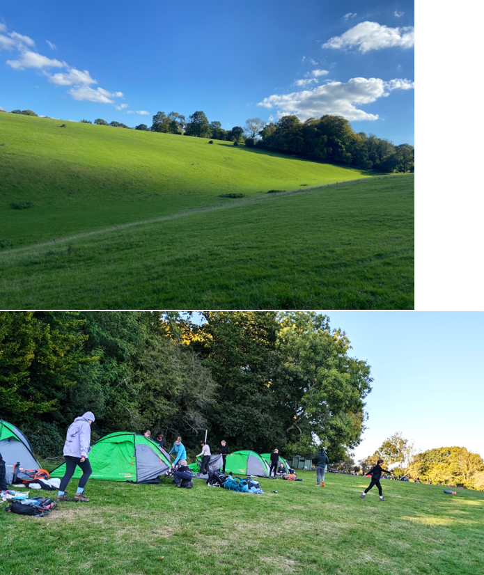 A collage of people camping in a field

Description automatically generated