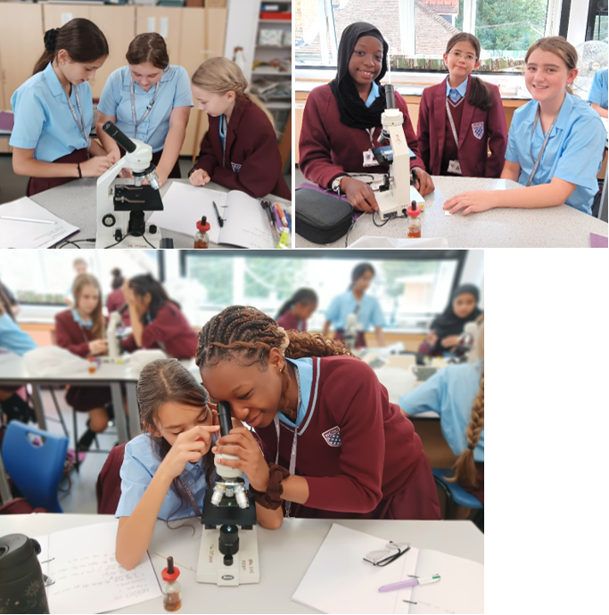 A collage of girls in a classroom

AI-generated content may be incorrect.