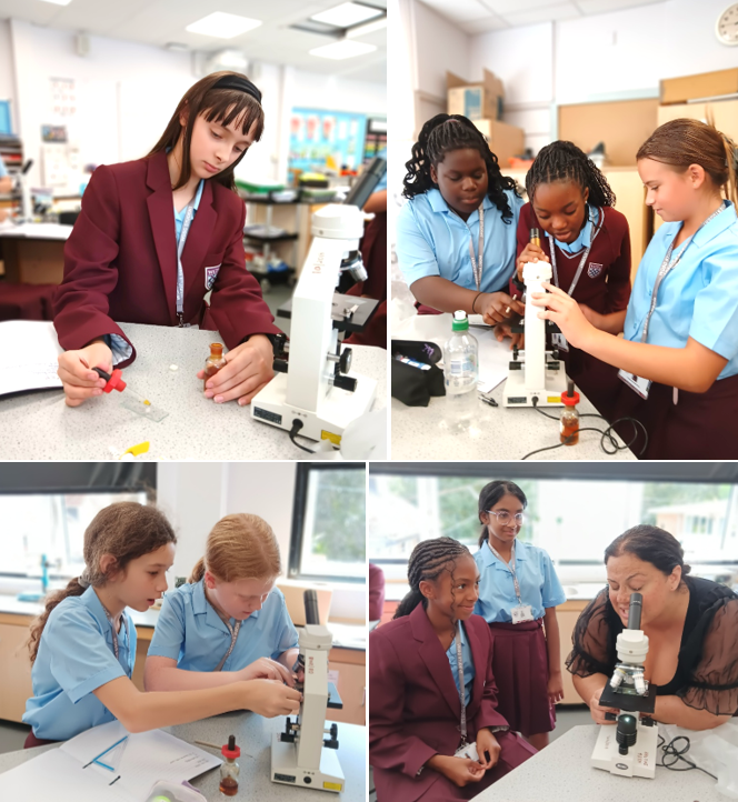 A collage of girls in a lab

AI-generated content may be incorrect.